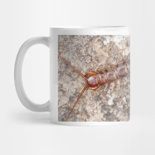 Stone centipede Mug